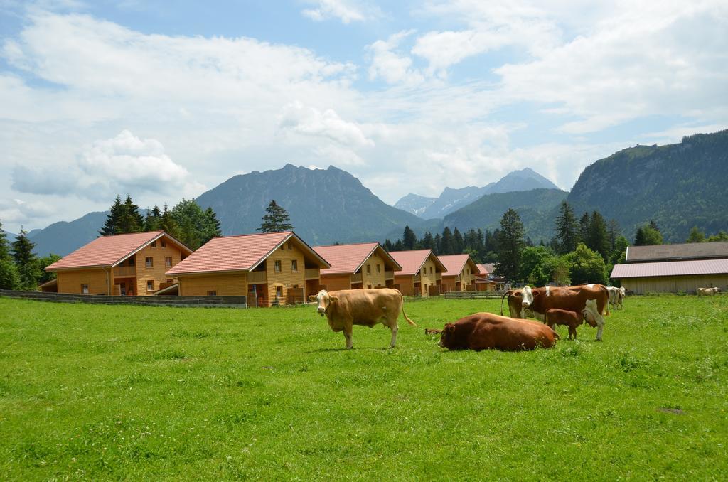 Feriendorf Am Hahnenkamm Ройте Экстерьер фото